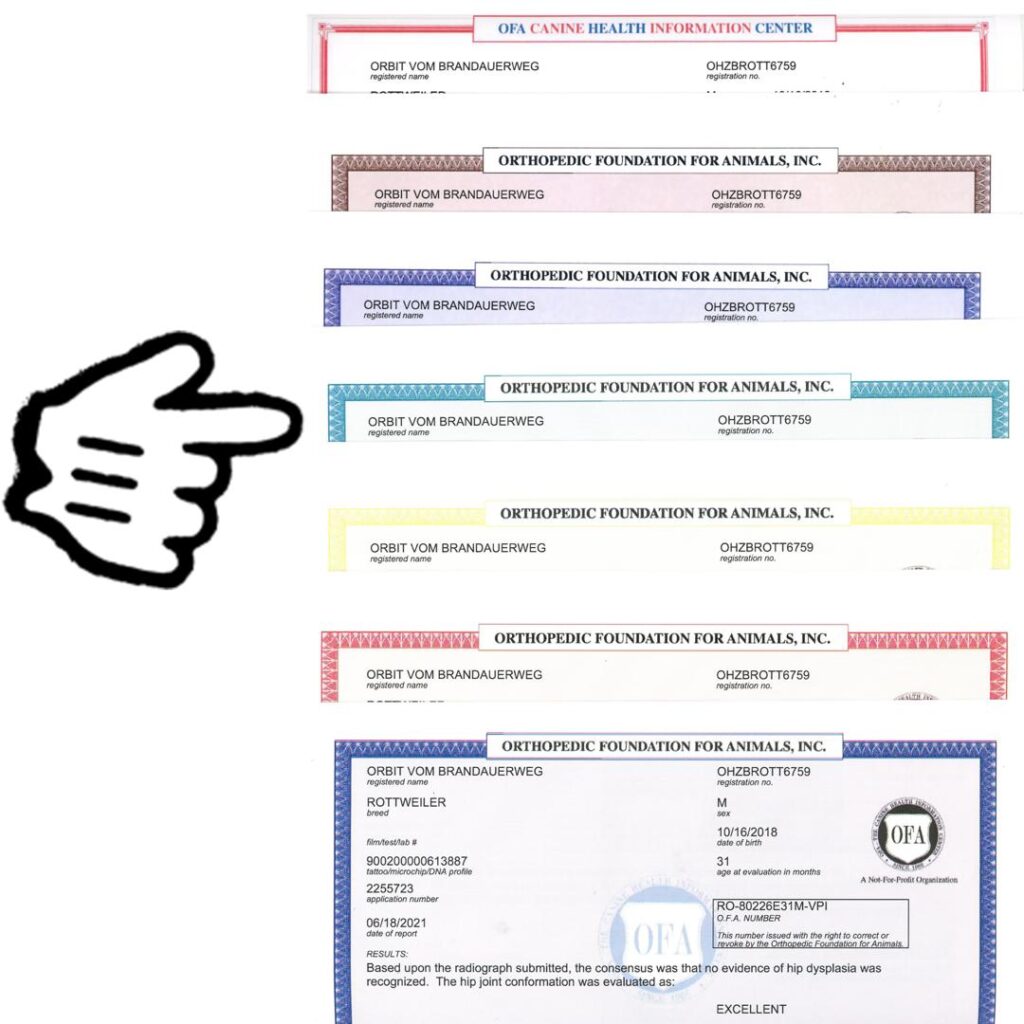 OFA certificate